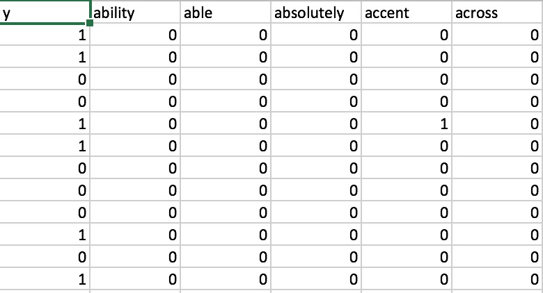 term document matrix (pic4).jpg