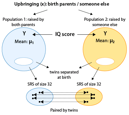 La variable X toma dos categorías: La crianza de los padres biológicos o de otra persona. Estas dos categorías forman población 1 y población 2. Para cada población, tenemos una media de CI (Y), μ_1 para la población 1 y μ_2 para la población 2. Generamos las muestras en pares emparejados utilizando la relación de gemelos separados al nacer. Entonces, generamos una SRS de tamaño 32 para la población 1 y también una de talla 32 para la población 2 usando esta relación, emparejada por gemelos.