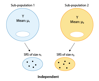 La Subpoblación 1 tiene una Media Y de μ_1, y la Subpoblación 2 tiene una Media Y de μ_2. De la Subpoblación 1 tomamos un SRS de tamaño n_1, y de la Subpoblación 2 tomamos un SRS de tamaño n_2. Ambas muestras son independientes.