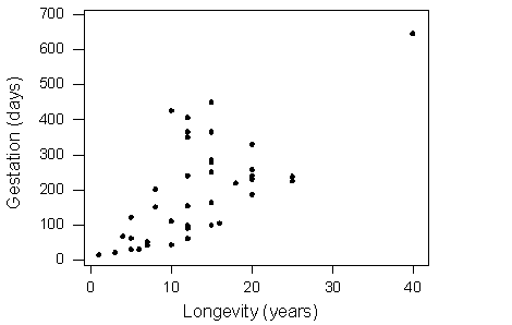 Un diagrama de dispersión en el que el eje vertical está etiquetado como “Gestación (días)” y oscila entre 0 y 700 días. El eje horizontal está etiquetado como “Longevidad (años)” y oscila entre 0 y 40 años.
