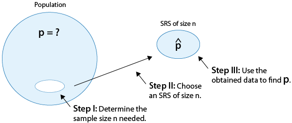 Un círculo grande representa la Población, para lo cual deseamos encontrar p. El paso I es determinar el tamaño muestral n necesario. El paso II es elegir un SRS de tamaño n. Esto está representado por una flecha, lo que lleva a un círculo más pequeño que representa el SRS de tamaño n. Para el SRS calculamos p-hat. El paso III consiste en utilizar los datos obtenidos para encontrar p.