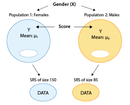 Tenemos dos poblaciones, Hembras y Machos. Esta es nuestra Variable de Género (X). Para cada una de estas poblaciones, hay una media de Score (Y), μ_1 para Hembras y μ_2 para Hombres. Para la población femenina generamos un SRS de tamaño 150. Para los Machos, generamos un SRS de talla 85.