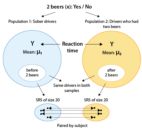 La variable X es si el conductor tenía 2 cervezas o ninguna cerveza. Tenemos dos poblaciones, la población 1 de conductores sobrios y la población 2 de conductores que tomaron dos cervezas. Para cada población tenemos la media del Tiempo de Reacción (Y), μ_1 para la población 1 y μ_2 para la población 2. Utilizamos los mismos conductores para generar las muestras para ambas poblaciones. El SRS de tamaño 20 se crea para la población 1 antes de que los conductores hayan tenido 2 cervezas, y usando los mismos conductores, generamos el SRS de tamaño 20 para la población 2 después de darles 2 cervezas.