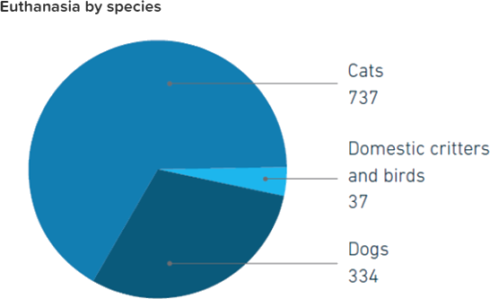 Gráfico circular: 737 gatos, 37 criaturas domésticas, 334 perros