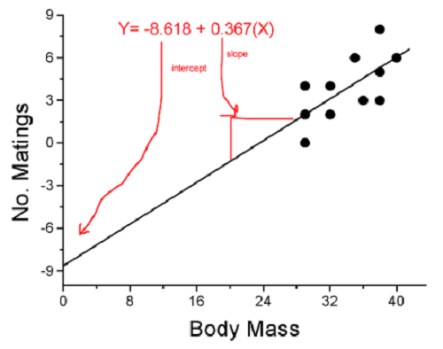 Scatter plot from Figure 3 with the line of best fit extended to intersect the y-axis. The line equation is given as Y = -8.618 + 0.367(X).