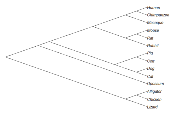 20.11: Plot a Newick tree - Statistics LibreTexts