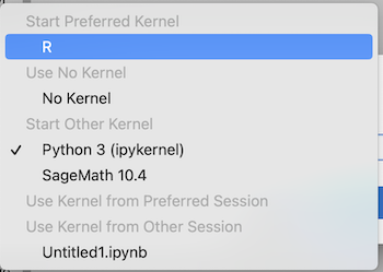 The dropdown menu showing the different kernel options.