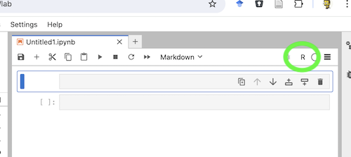 Screenshot of Jupyter Notebook showing that the kernel has been set to R.