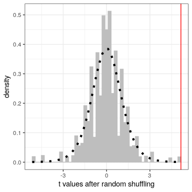 Histogram of t-values for the difference in means between the football and cross-country groups after randomly shuffling group membership.  The vertical line denotes the actual difference observed between the two groups, and the dotted line shows the theoretical t distribution for this analysis.