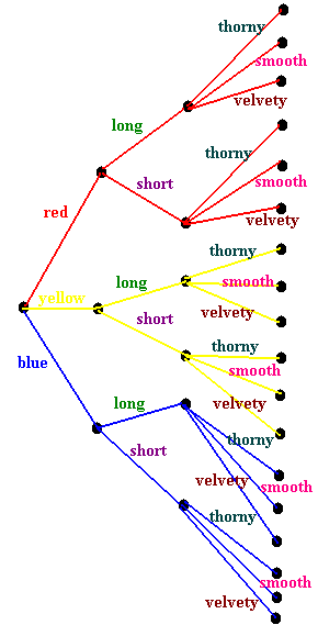 Tree diagram with branches of color, length and type