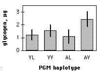 pgmgraph.gif