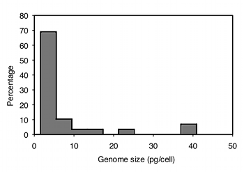 genome size.png
