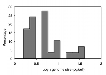 genome size2.png
