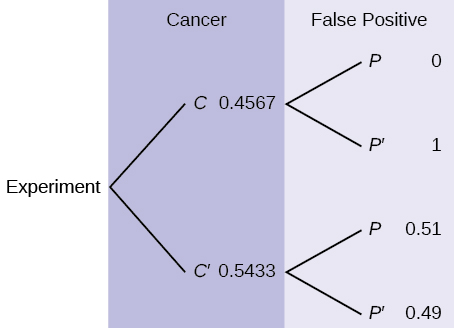 Este é um diagrama de árvore com dois galhos. O primeiro ramo, denominado Câncer, mostra duas linhas: 0,4567 C e 0,5433 C'. A segunda ramificação é chamada de Falso Positivo. De C, há duas linhas: 0 P e 1 P'. A partir de C', há duas linhas: 0,51 P e 0,49 P'.