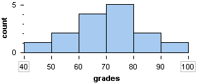 Histogram showing quiz grades. Highest percentage is the seventy to eighty percent bar.